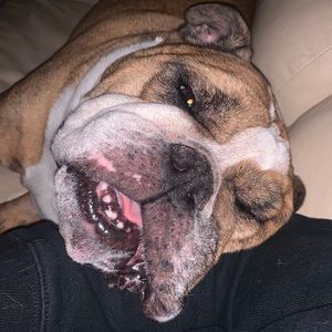 Meet your Posher, William